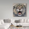 Trademark Fine Art Harro Maass 'Lion Roaring' Canvas Art, 14x14 ALI35668-C1414GG